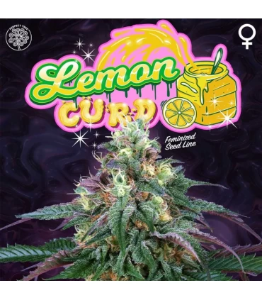 Lemon Curd 6 Semillas - Perfect Tree.