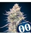 Blue Dream | 18% THC | 00 Seeds