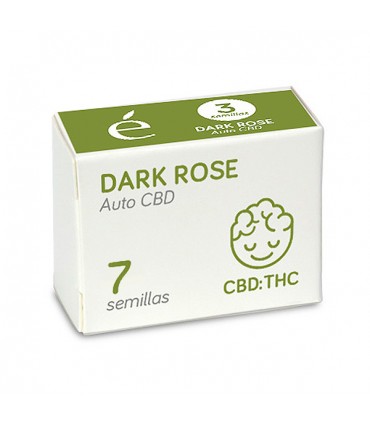Auto Dark Rose CBD | 1:1 THC CBD | Elite Seeds