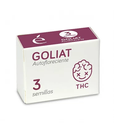 Auto Goliat | 12% THC | Elite Seeds