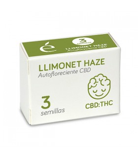 Auto Llimonet Haze CBD | 1:1 THC CBD | Elite Seeds