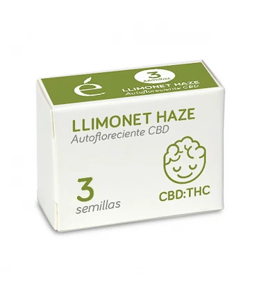 Auto Llimonet Haze CBD | 1:1 THC CBD | Elite Seeds