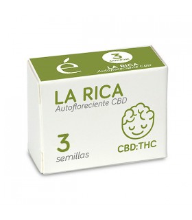 Auto La Rica CBD | 1:1 THC CBD | Elite Seeds