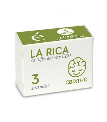 Auto La Rica CBD | 1:1 THC CBD | Elite Seeds