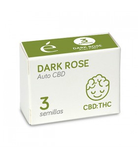 Auto Dark Rose CBD | 1:1 THC CBD | Elite Seeds