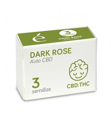 Auto Dark Rose CBD | 1:1 THC CBD | Elite Seeds