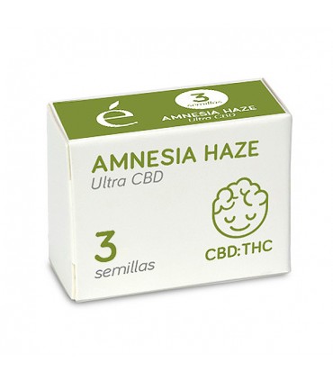 Amnesia Haze Ultra | 1:1 THC CBD | Elite Seeds