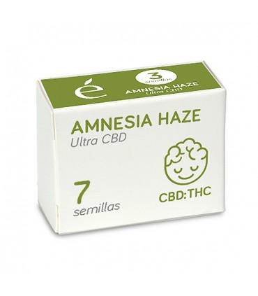 Amnesia Haze Ultra | 1:1 THC CBD | Elite Seeds