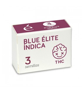 Blue Elite Indica | 19% THC | Elite Seeds