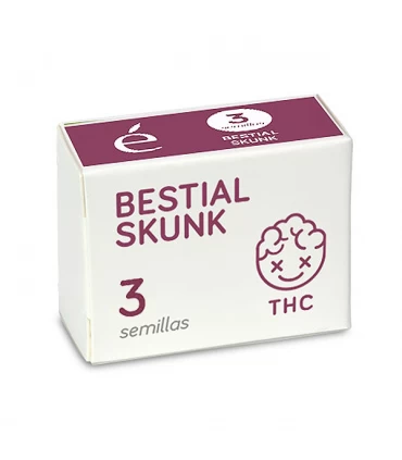 Bestial Skunk | 20% THC | Elite Seeds