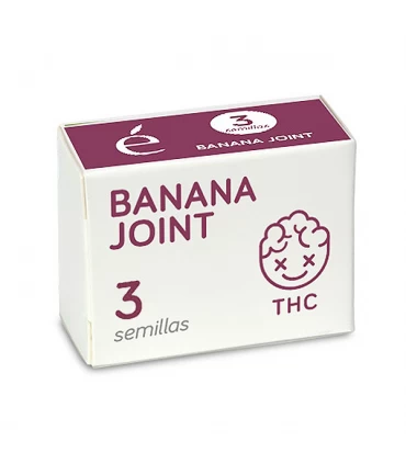 Banana Joint | 17% THC | Elite Seeds