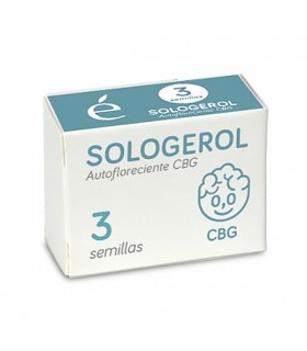Auto Sologerol CBG | 0% THC | Elite Seeds