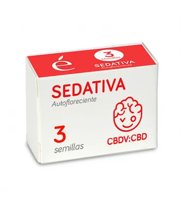 Auto Sedativa CBDV | Elite Seeds