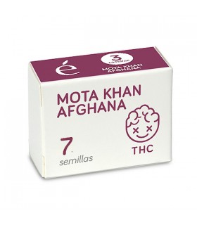 Mota Khan Afgana | 19% THC | Elite Seeds
