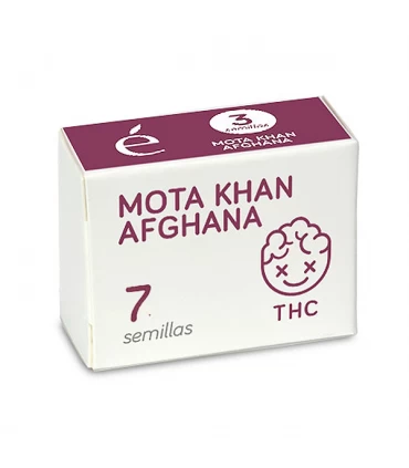 Mota Khan Afgana | 19% THC | Elite Seeds