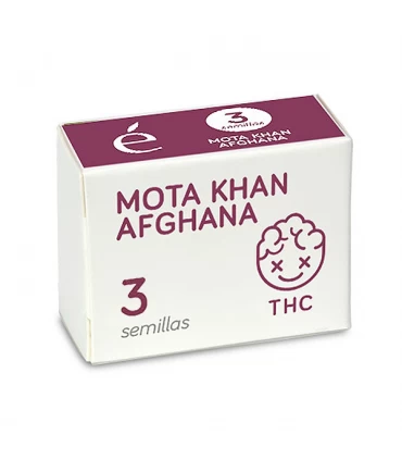 Mota Khan Afgana | 19% THC | Elite Seeds