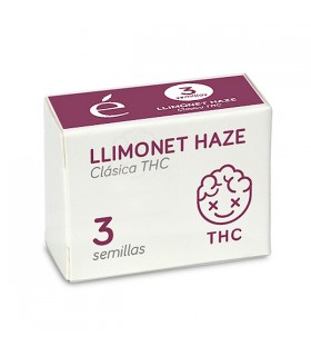 Llimonet Haze | 20% THC | Elite Seeds