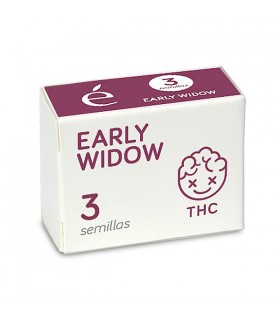 Early Widow | 17% THC | Elite Seeds