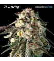 Fire DOG | 25% THC | Advanced Seeds