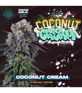 Coconut Cream (x6 Semillas) | 23% THC  | Perfect Tree