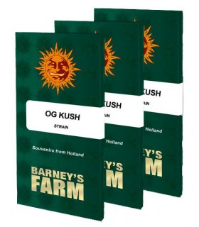 OG Kush | 26% THC | Barney's Farm