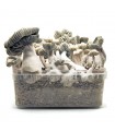 Grow Kit Jack Frost Hybrid