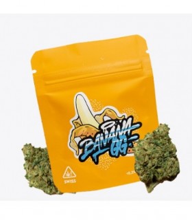 Cañamo Cbd Gorilla Grillz Indoor Banana GG