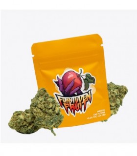 Cañamo Cbd Gorilla Grillz Indoor Forbidden Fruit