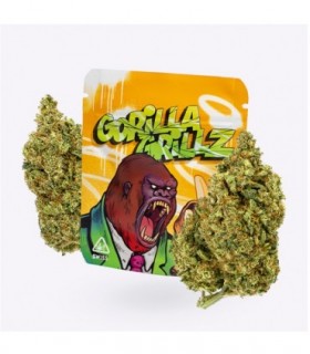Cañamo Cbd Gorilla Grillz Indoor Gorilla Grillz