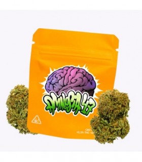 Cañamo Cbd Gorilla Grillz Outdoor Amnesia 47