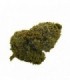 CBD Bee  Ak-47 - 10 gr.