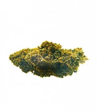 CBD Bee  Amnesia  5 gr.