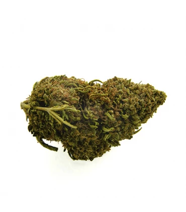 CBD Bee  Blackjack  3 gr.