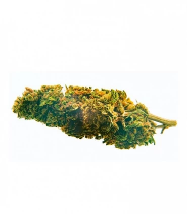 CBD Bee  Blueberry  3 gr.