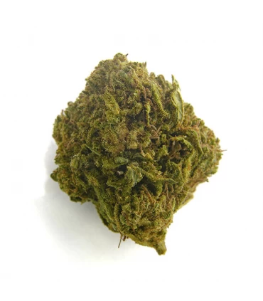 CBD Bee  Bubble Gum  3 gr.