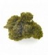 CBD Bee  Critical  3 gr.
