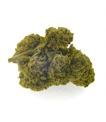 CBD Bee  Critical  3 gr.