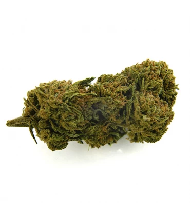 CBD Bee  Gelato  3 gr.