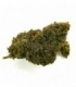 CBD Bee  Lemon Haze  3 gr.