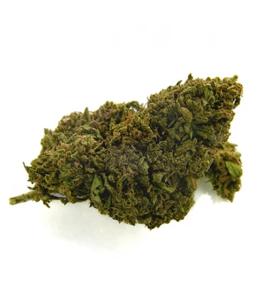 CBD Bee  Lemon Haze 10 gr.