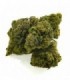 CBD Bee  Monkey Kush 10 gr.