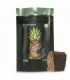 Cbd Goodies Hash Pineapple Express 10 gr.