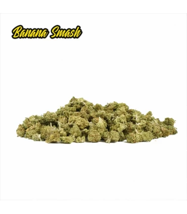 Cañamo Cbd Mini Buds Banana Smash 25 gr. Only Cbd