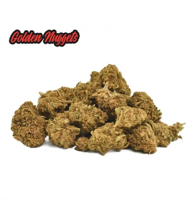 Cañamo Cbd Mini Buds Golden Nuggets 50 gr. Only Cbd
