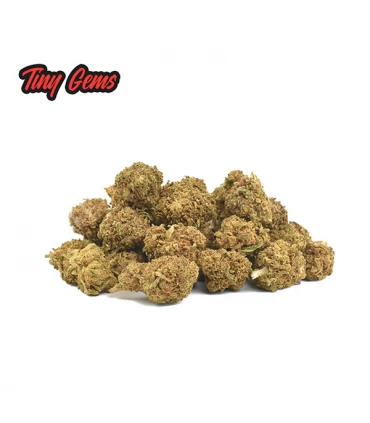 Cañamo Cbd Mini Buds Tiny Gems 10 gr. Only Cbd