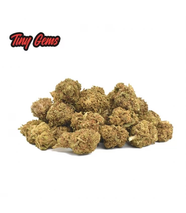 Cañamo Cbd Mini Buds Tiny Gems 25 gr. Only Cbd