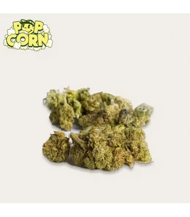 Cañamo Cbd  Xuxes Pop Corn Green Sour 10 gr.