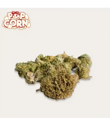 Cañamo Cbd  Xuxes Pop Corn Pink Kush  Poppy 5 gr.