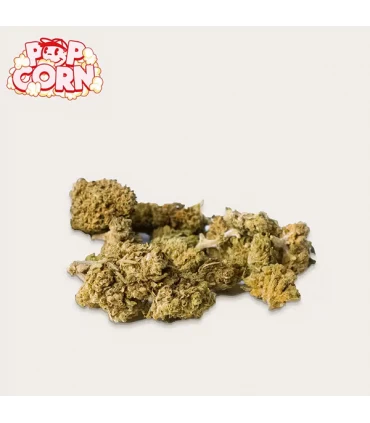 Cañamo Cbd  Xuxes Pop Corn Pink Kush 10 gr.