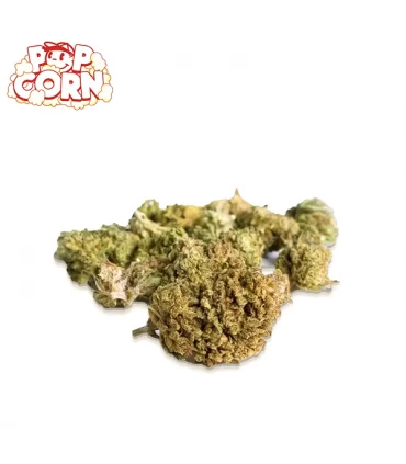 Cañamo Cbd  Xuxes Pop Corn Sweet Mandarin  Poppy 5 gr.